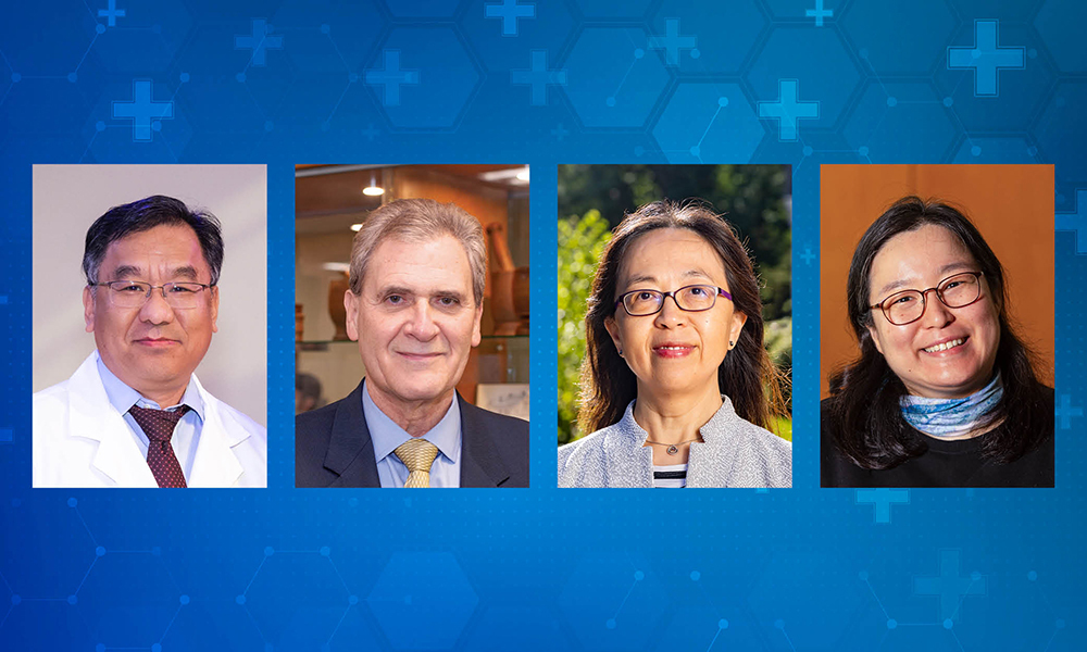 WNE Awarded USDA-NIFA $300K Grant to Advance Research for Alzheimer’s Disease 